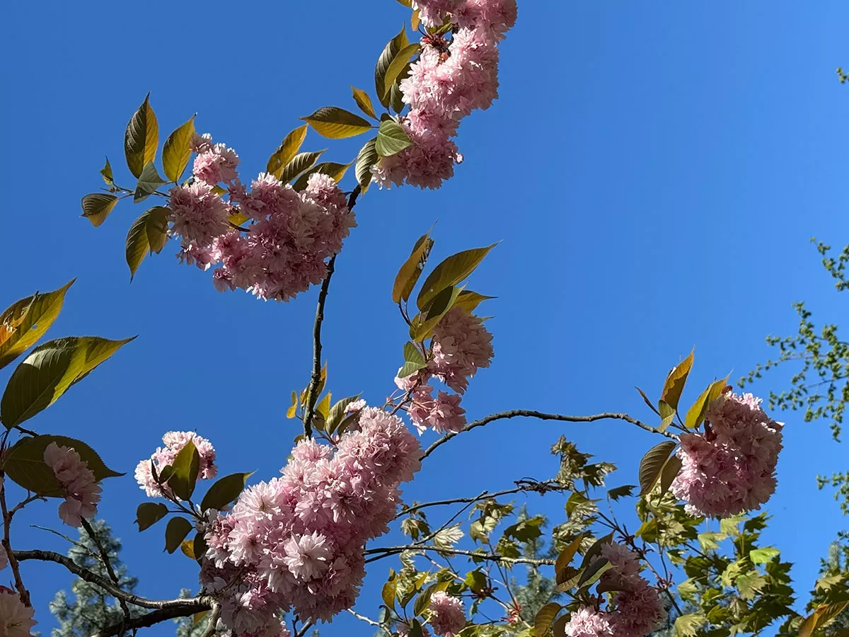 Frühjahrsputz